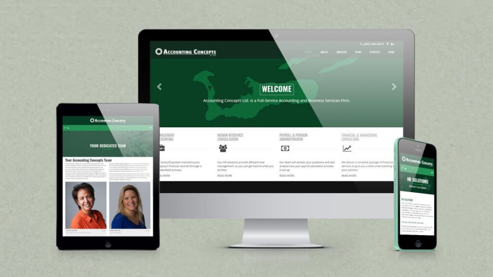 Accounting Concepts Website Design