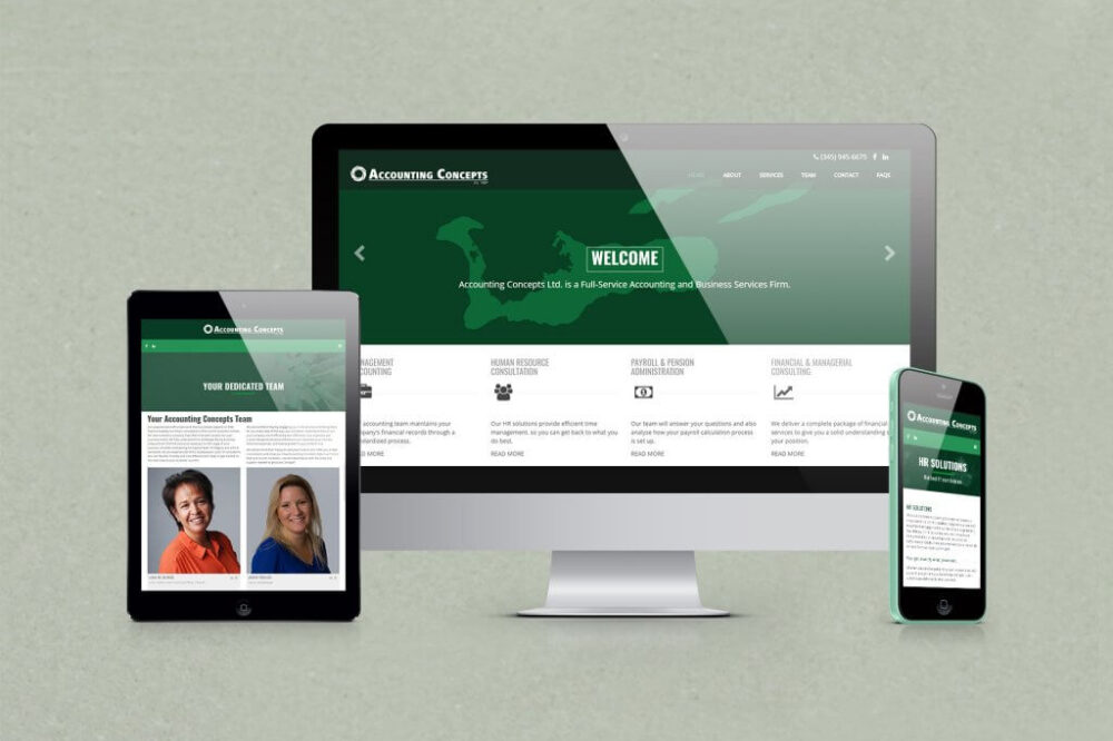 Accounting Concepts Website Design