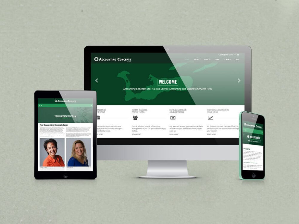 Accounting Concepts Website Design