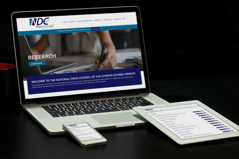 National Drug Council Website Design