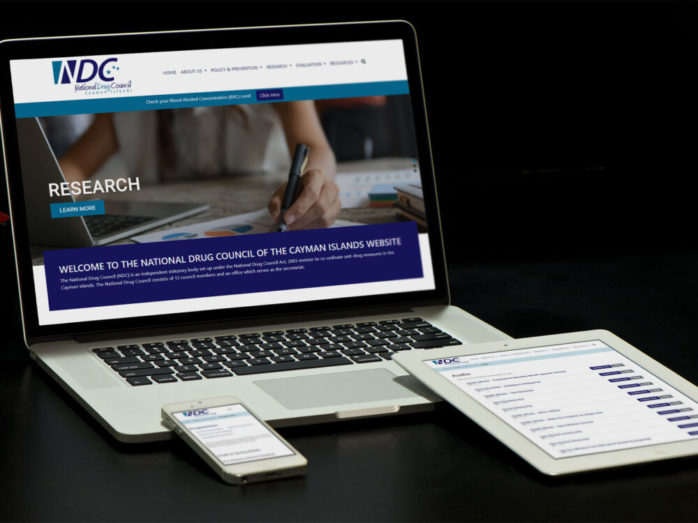 National Drug Council Website Design