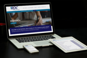 National Drug Council Website Design