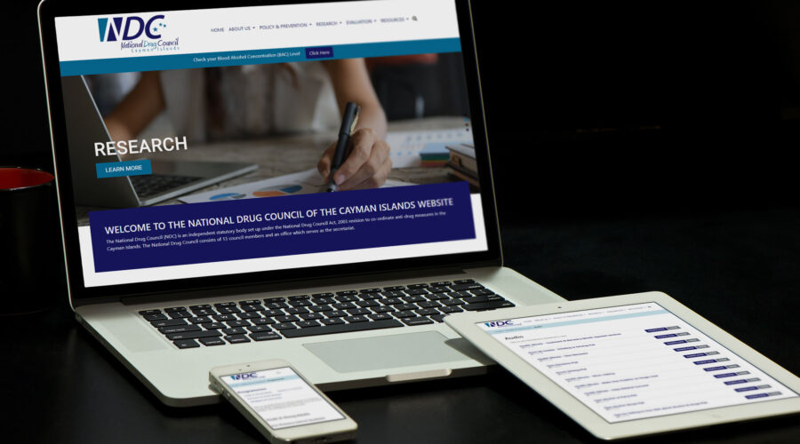 National Drug Council Website Design