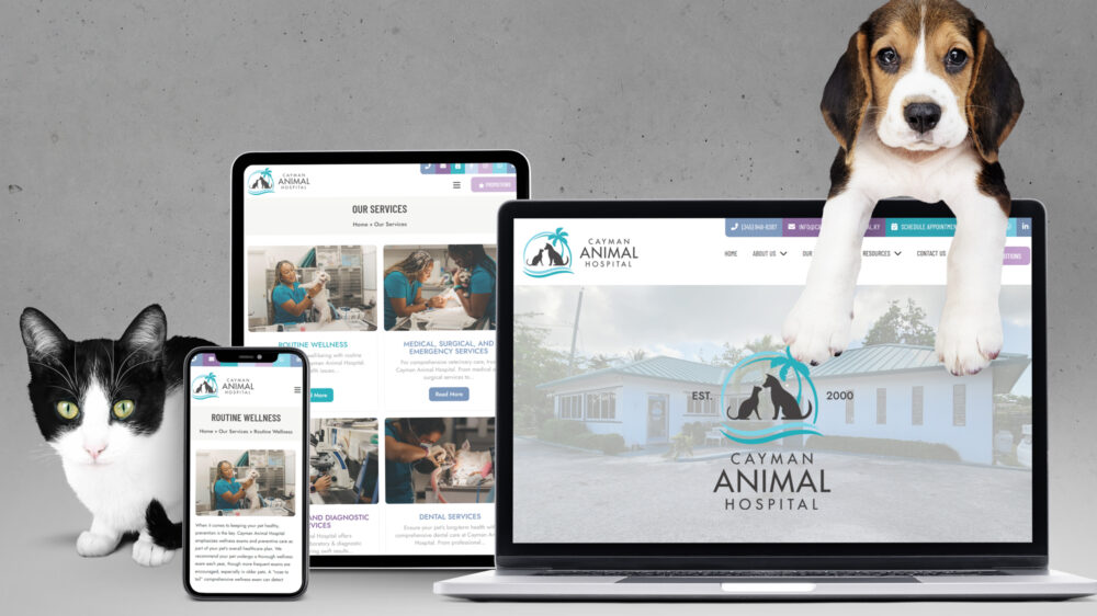 Cayman Animal Hospital Website Design