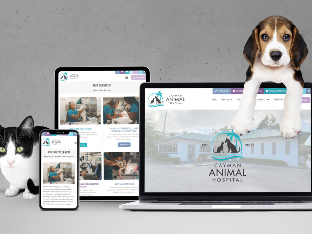 Cayman Animal Hospital Website Design